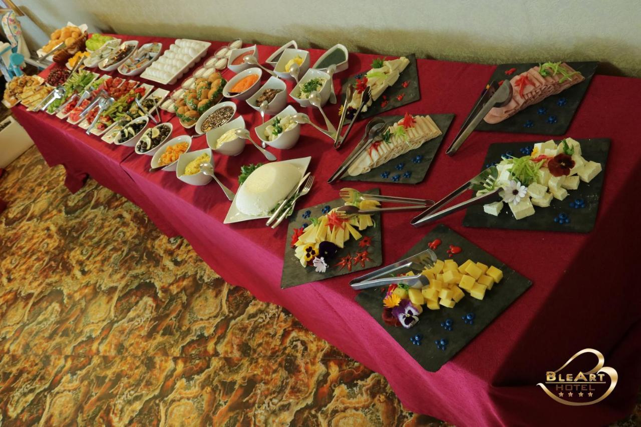 Hotel Bleart Škalngur